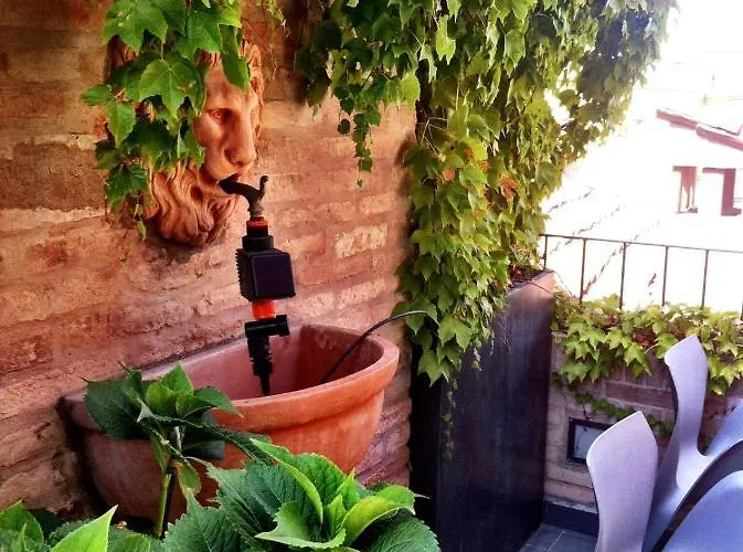 Sui Tetti Di Bologna